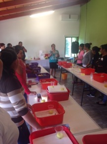 Taller de hidroponía - Foto 5